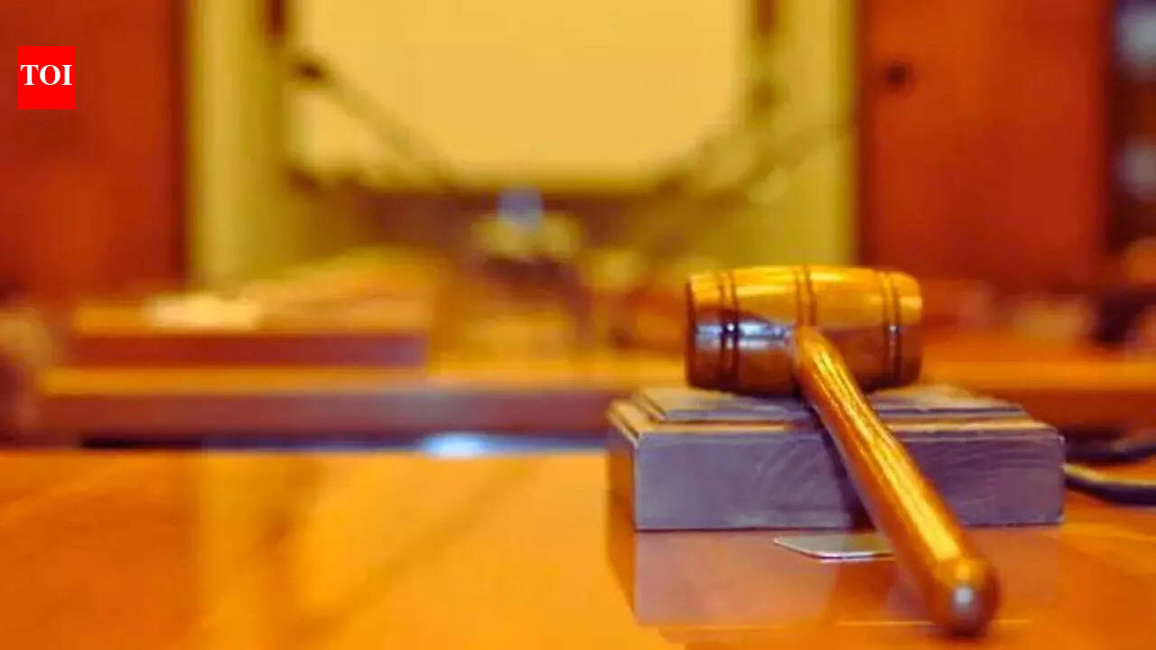 'Chilling effect on me': Upset at Supreme Court remarks, Allahabad HC judge says won’t hear bail petitions