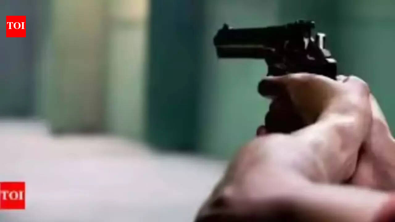 One LED light glitches at wedding venue, electrician shot dead in Gurgaon