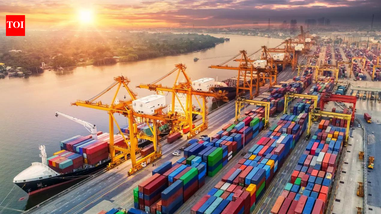 Four ports under construction in Andhra Pradesh, Centre tells Lok Sabha – The Times of India