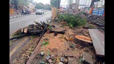 Over 83k trees cut by NHAI in U’khand for infra projects: RTI