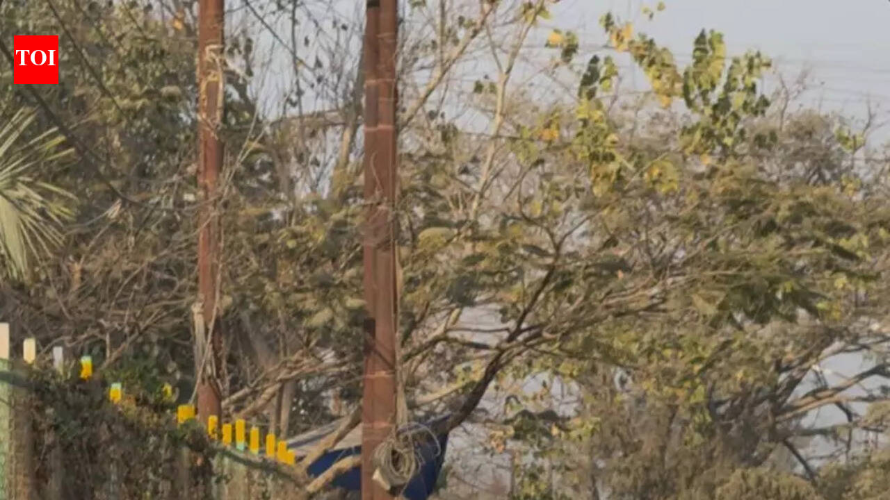 Over 80 people unite to celebrate love through cleanliness drive in Imphal