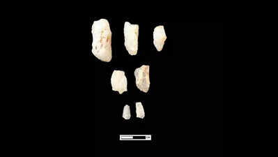 Madras University students find stone age tool-making site near Vellore