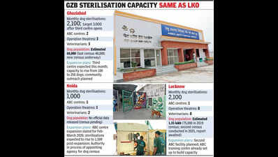 As SC looks for ways to reduce stray dog numbers, Lucknow offers a template to NCR