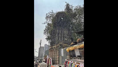 Devotion retains significance of Nagpur’s Bhonsle-era Shiva temples amid ruins