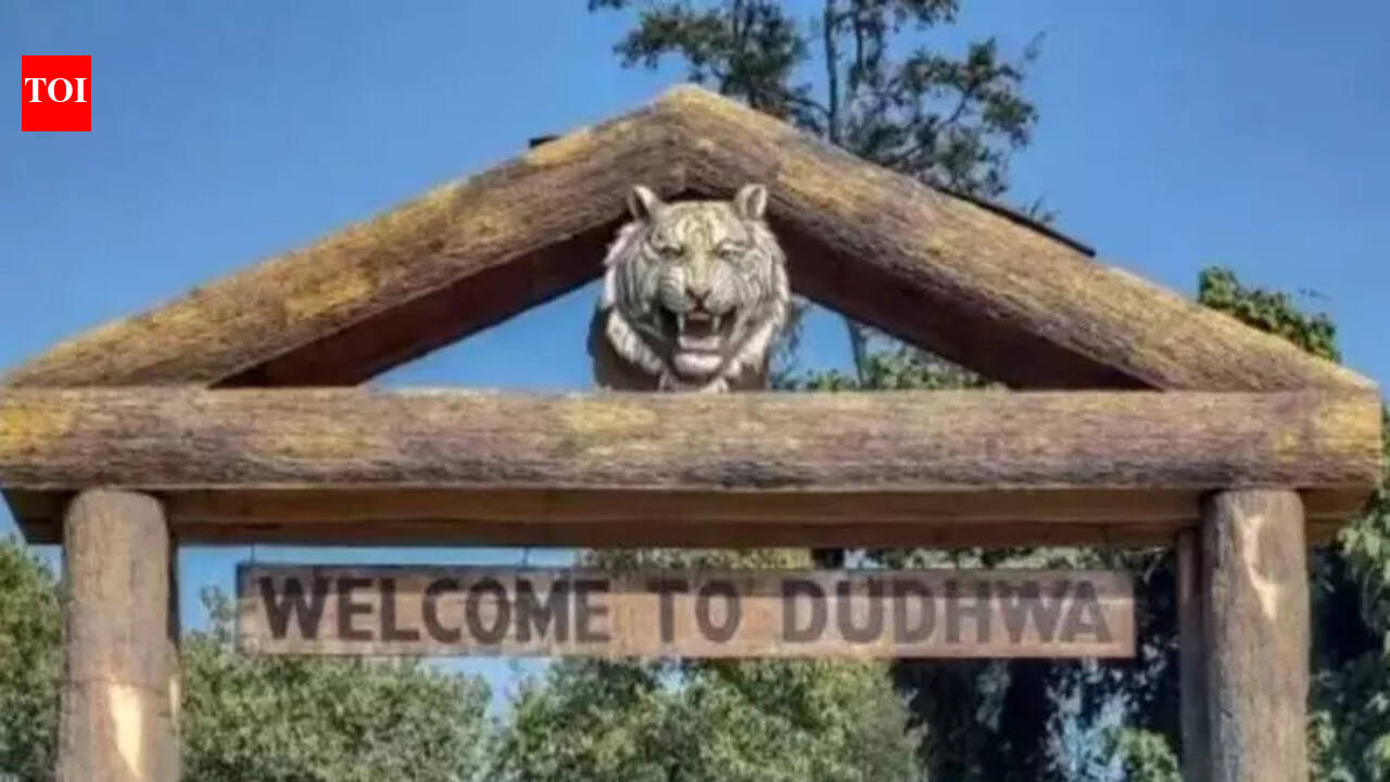 UP tourism steps up preparations to position Dudhwa as flagship eco-tourism destination