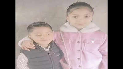 Rat poison in food, Punjab mother serves slow death to 2 kids; held with sister