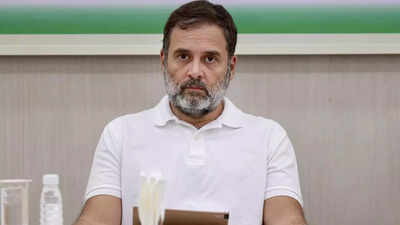 Govt cheating cotton farmers, textile exporters in US trade deal, says  Rahul Gandhi