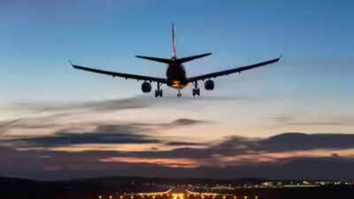‘Touched me repeatedly’: Bihar man held for molesting co-passenger on Hanoi flight