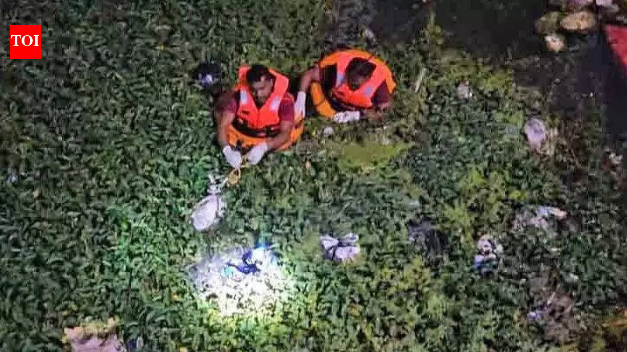 Bengal man's body cut up, stuffed in bags; BLO admits murder, affair suspected