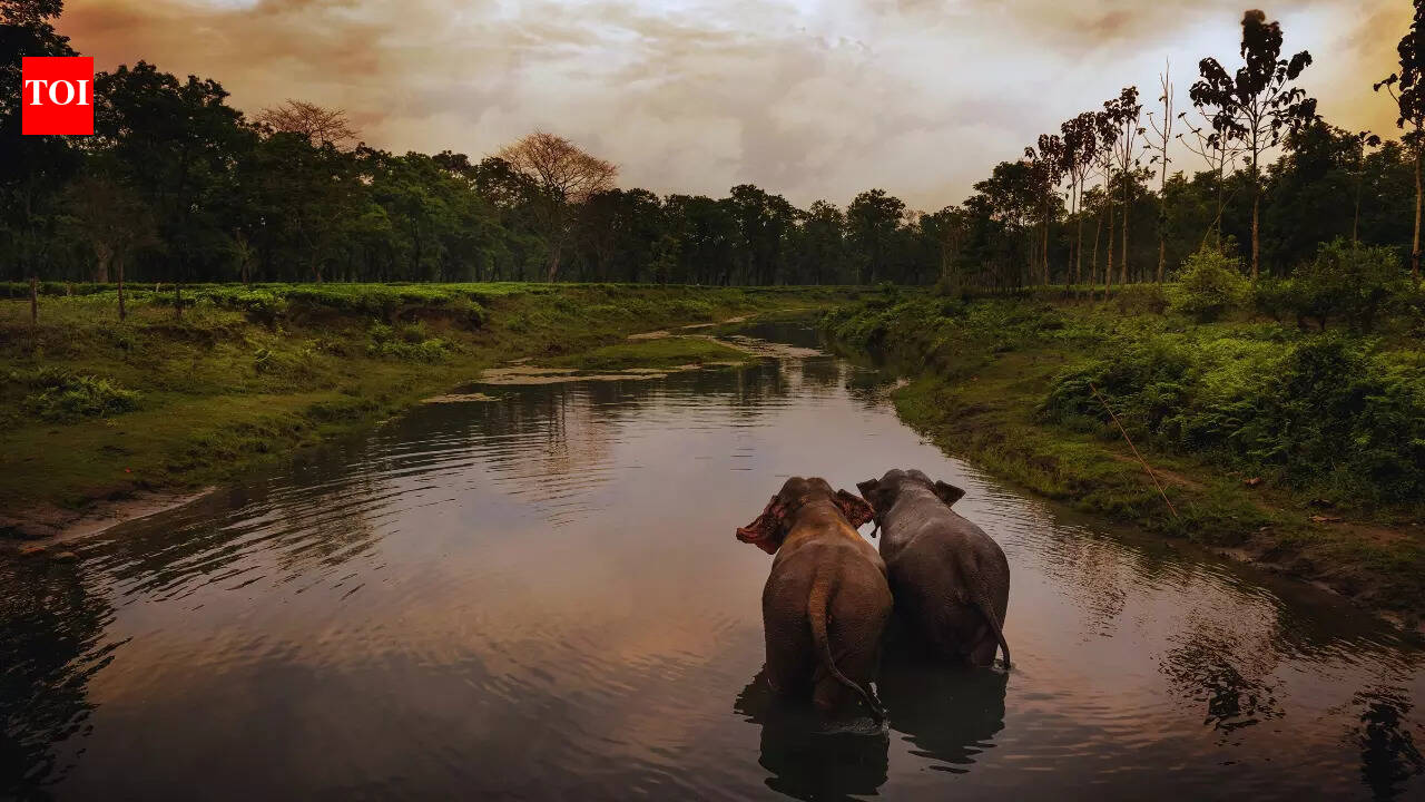 5 important rivers that pass through Indian national parks