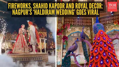  Nagpur’s ‘Haldiram wedding’ goes viral