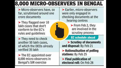 SIR queues end, micro-observers check docus uploaded by BLOs