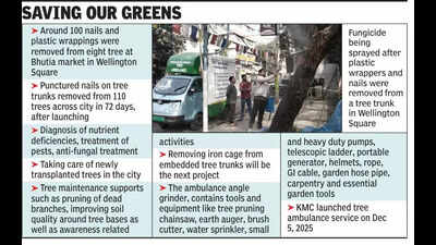 In 72 days, tree ambulance removes nails, plastic sheets from 110 trunks