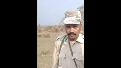 Kaziranga rhino attack leaves one home guard dead, another injured