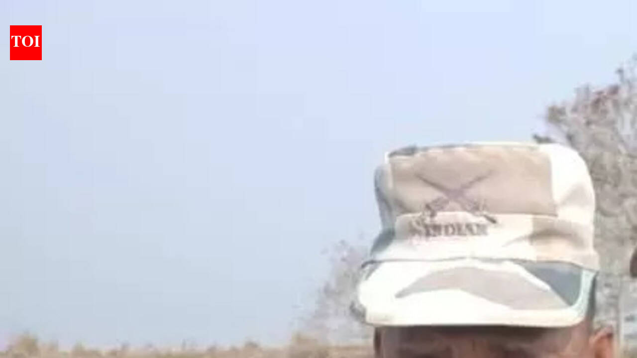 Kaziranga rhino attack leaves one home guard dead, another injured