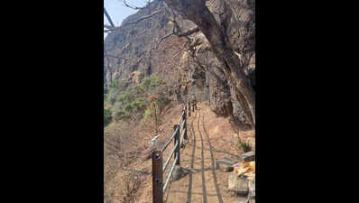 52-year-old tourist dies at Rajgad Fort; alarming safety gaps exposed at heritage sites