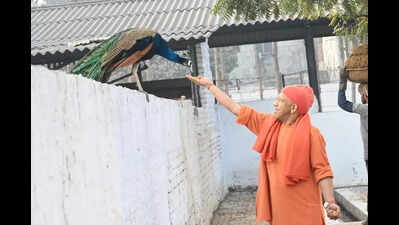 No genuine issue will be left unaddressed: Yogi