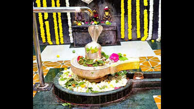 Devotees Throng Temples For Mahashivaratri Celebrations