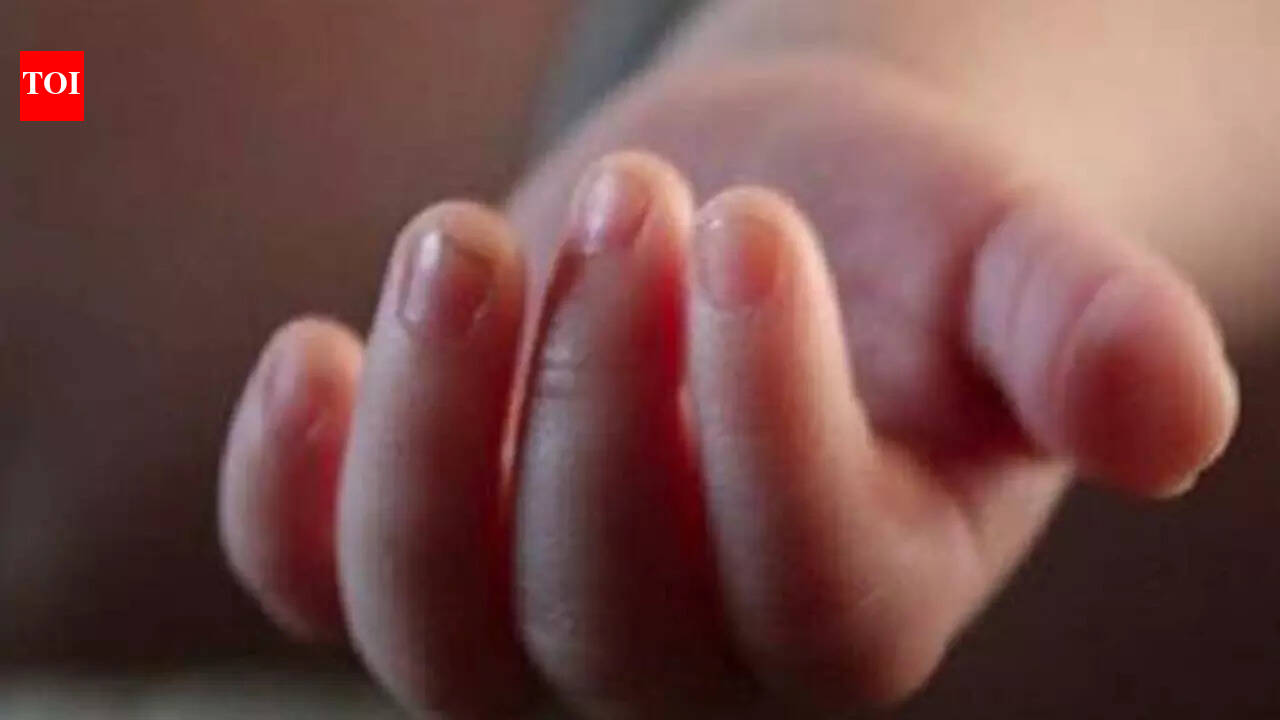 Villages in Noida in grip of child-lifting rumours; parents quit jobs, change shifts: ‘We can’t take chances’