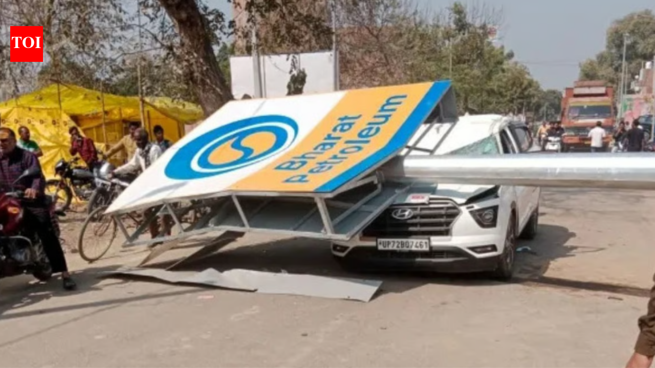 Samajwadi Party leader dies after 1,000kg lighting pole crashes on his SUV in UP