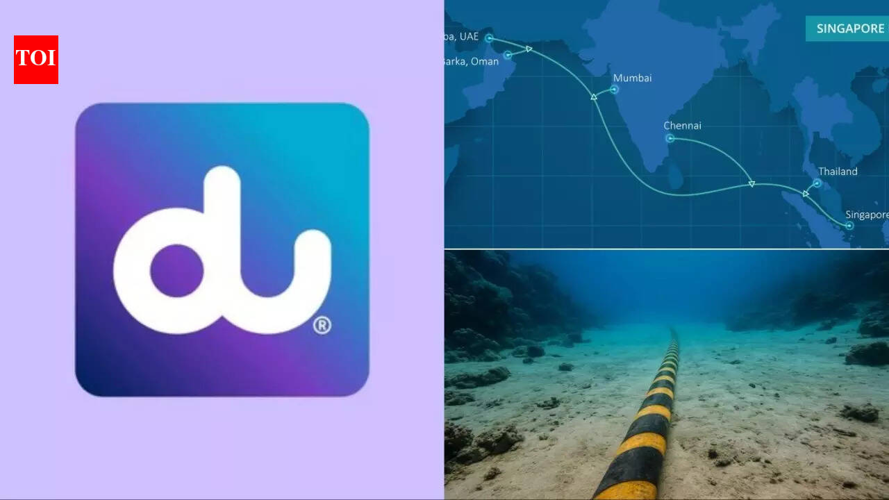 What is Singapore-India-Gulf subsea cable system that UAE's du is investing in for high data connectivity?