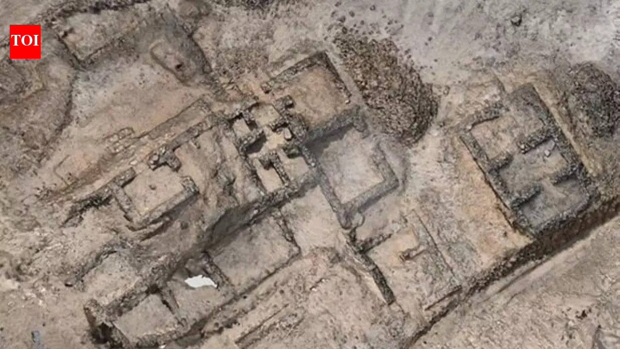Lost ‘City of Gold’ emerges from Egypt’s desert after 3,000 years buried in sand