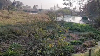 Weeks after Noida techie's death, 3-year-old falls into pit in Greater Noida, drowns