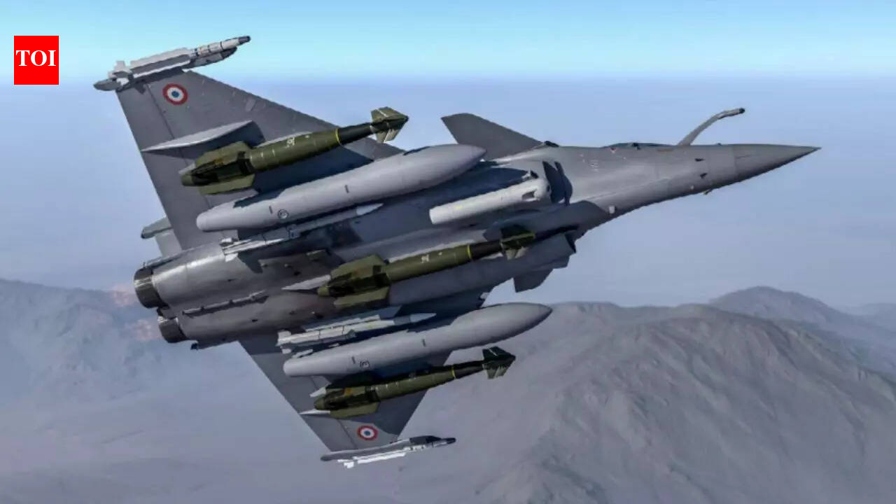 Make in India push: What is the HAMMER weapon system project? Key details of BEL–Safran JV