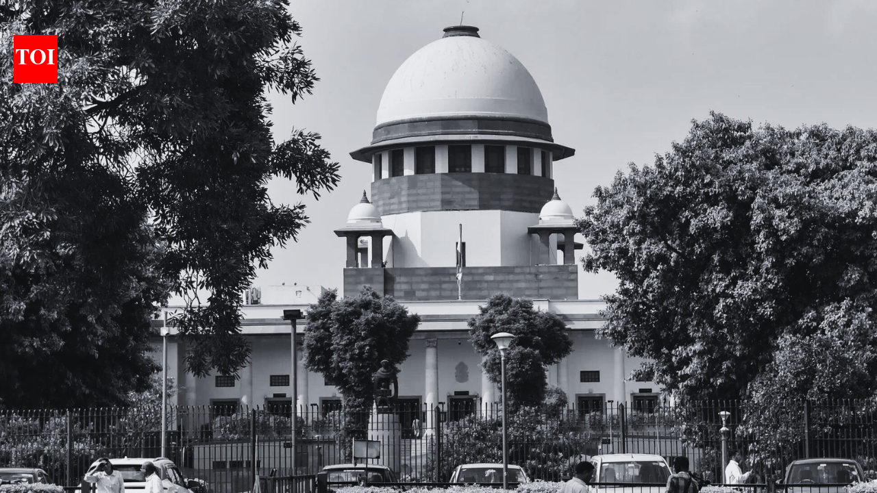 'How can you indulge in physical relationship before marriage': SC goes 'old-fashioned'