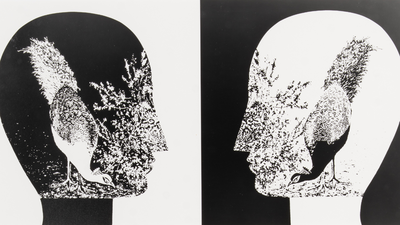 A painter with a camera: How Jyoti Bhatt rewrote the rules of photography