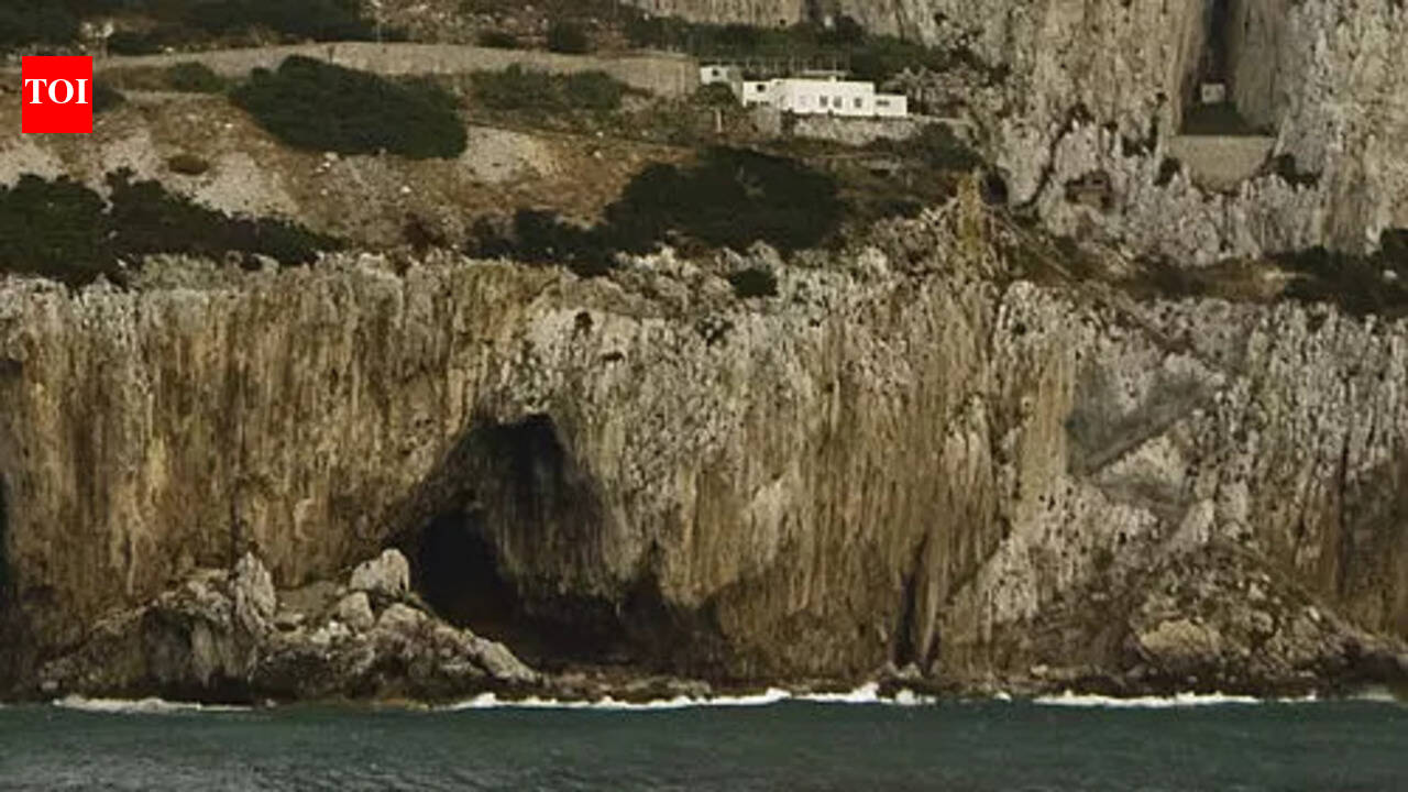 This 40,000-year-old Gibraltar cave shows how Neanderthals survived Europe’s Ice Age