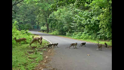 Walkers Path from Thakur Village to Sanjay Gandhi National Park in Mumbai likely to be shut down