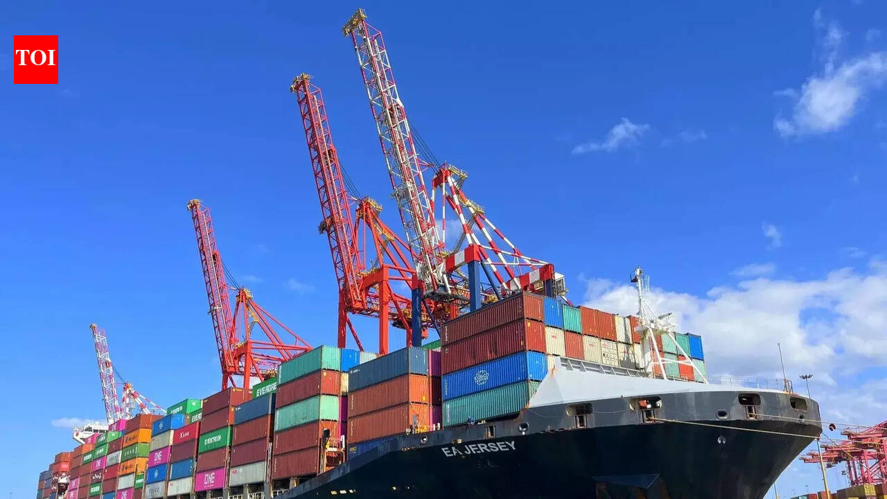 Family alleges ‘non-cooperation’ by ship operator in missing cadet case