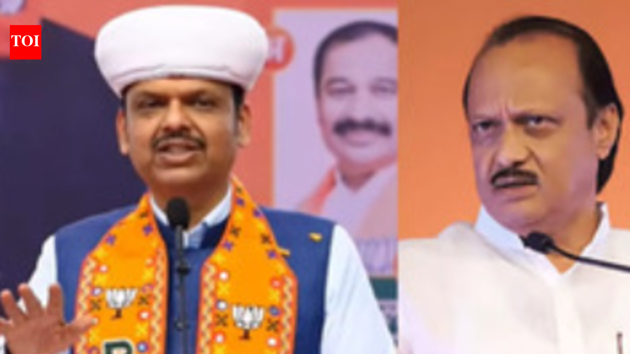 Maha CM Fadnavis stays minority tags issued hours after Ajit Pawar's death