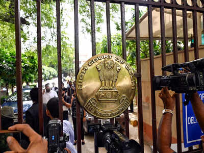 Can't let India be maligned, Delhi HC tells journo in OCI card case