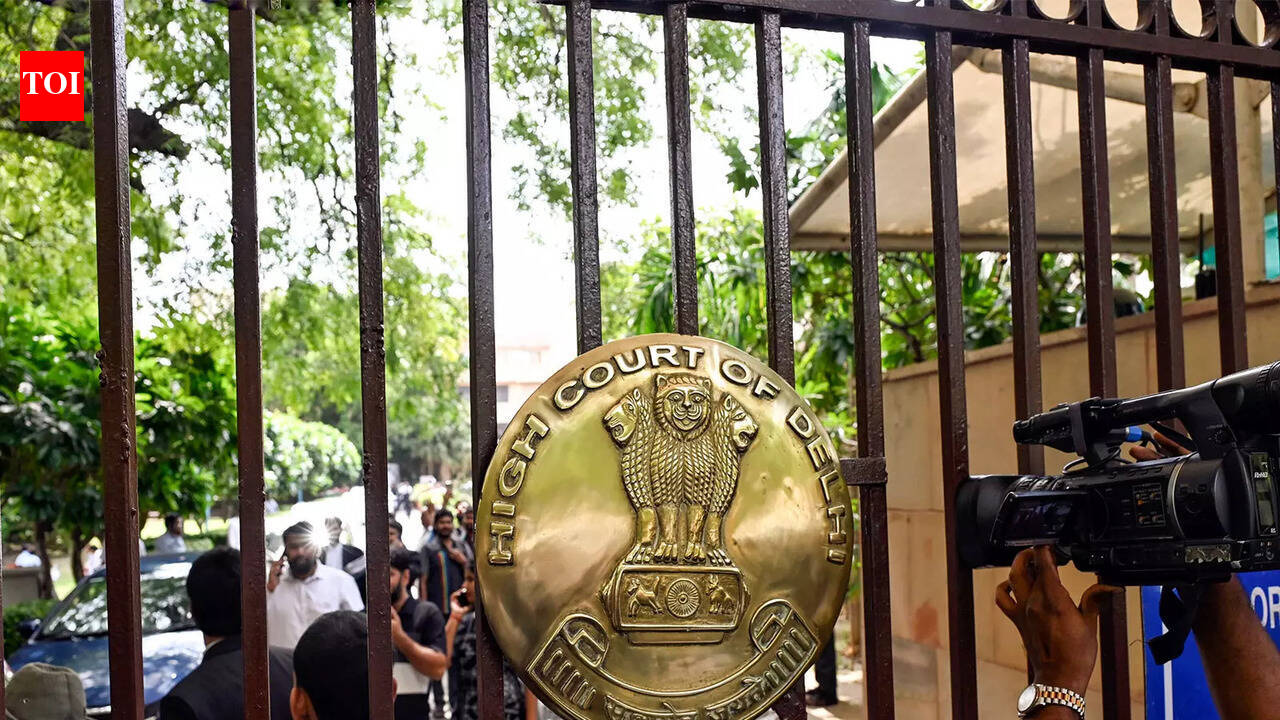Can't let India be maligned, Delhi HC tells journo in OCI card case
