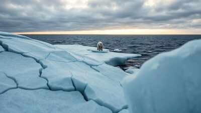 Media, including TOI, leading climate-health coverage: Lancet