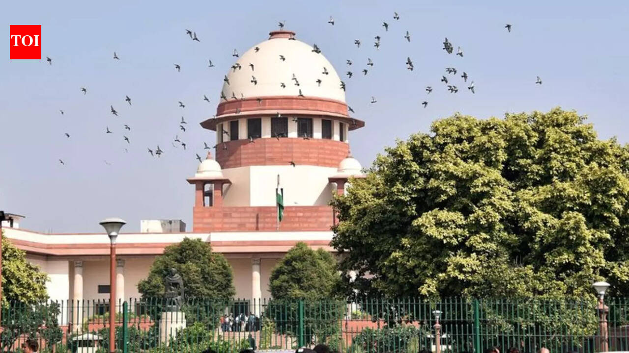 'Don't trust anyone': SC cautions the young against pre-marital sex