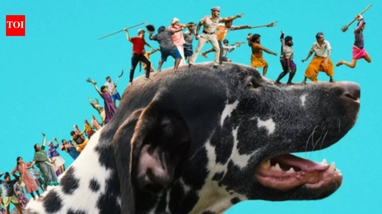 ‘Pennum Porattum’ box office collection day 4: Rajesh Madhavan’s directorial sees gradual dip on Monday