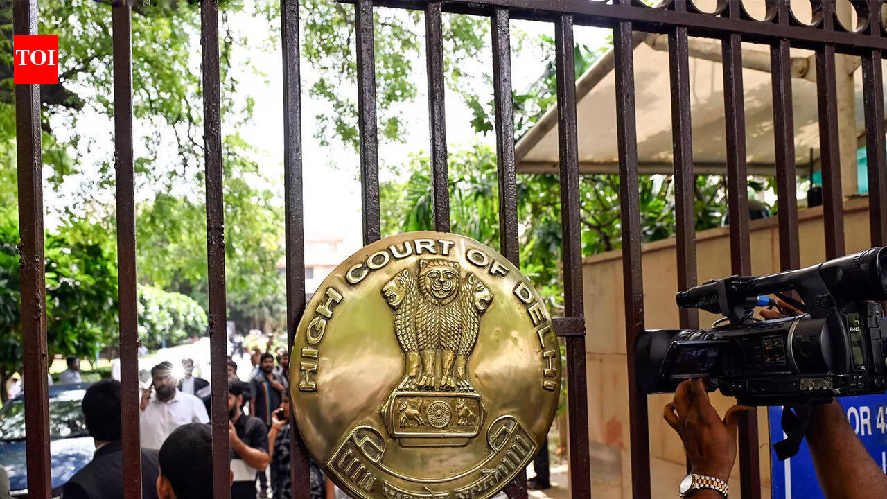 Delhi HC grants time to Centre to get consular access to Celina Jaitly's detained brother in Abu Dhabi