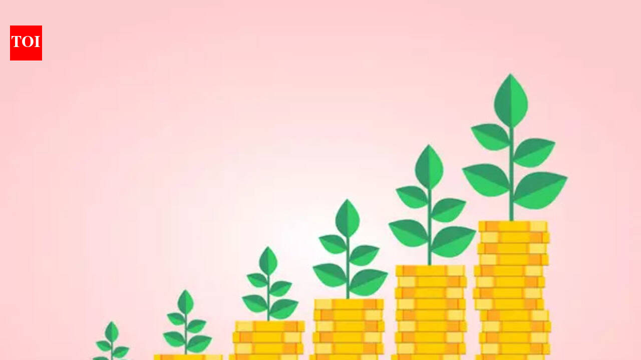 India’s MF industry profile: Rs 81.01 lakh crore AUM in January, up 20.5% – The Times of India