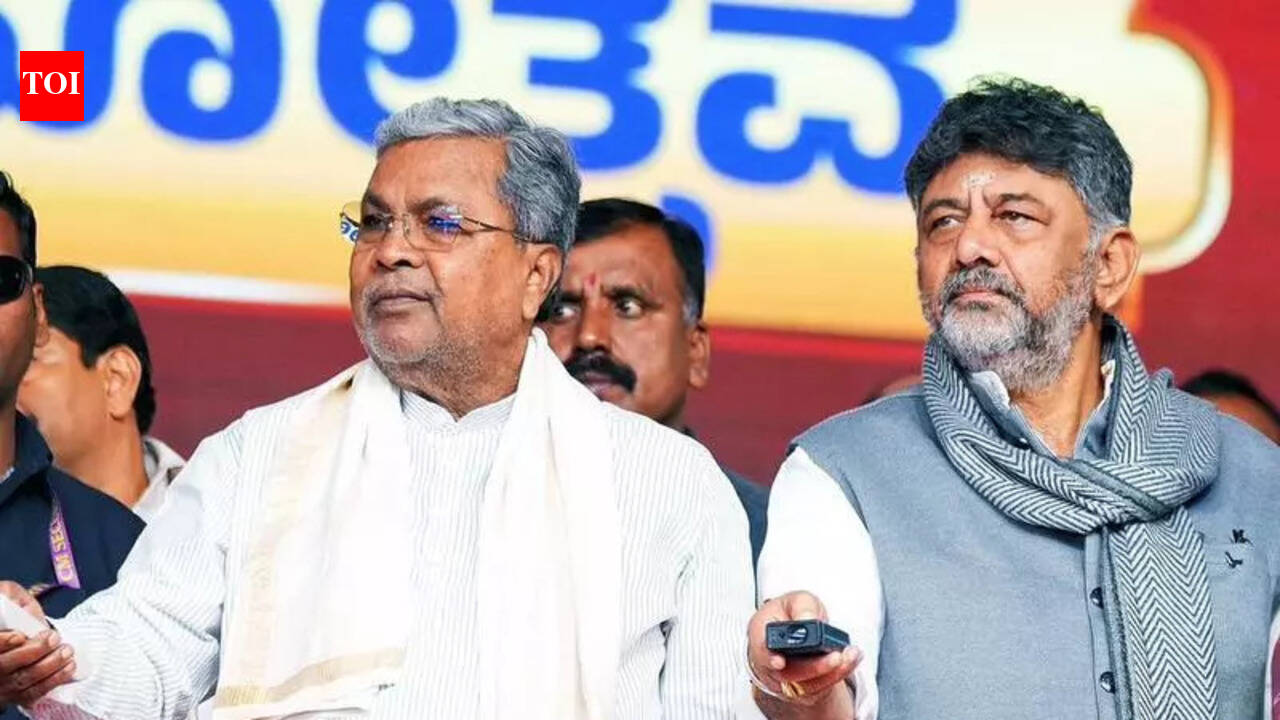 Minister called fellow partymen ‘street dogs’, triggers Congress slugfest