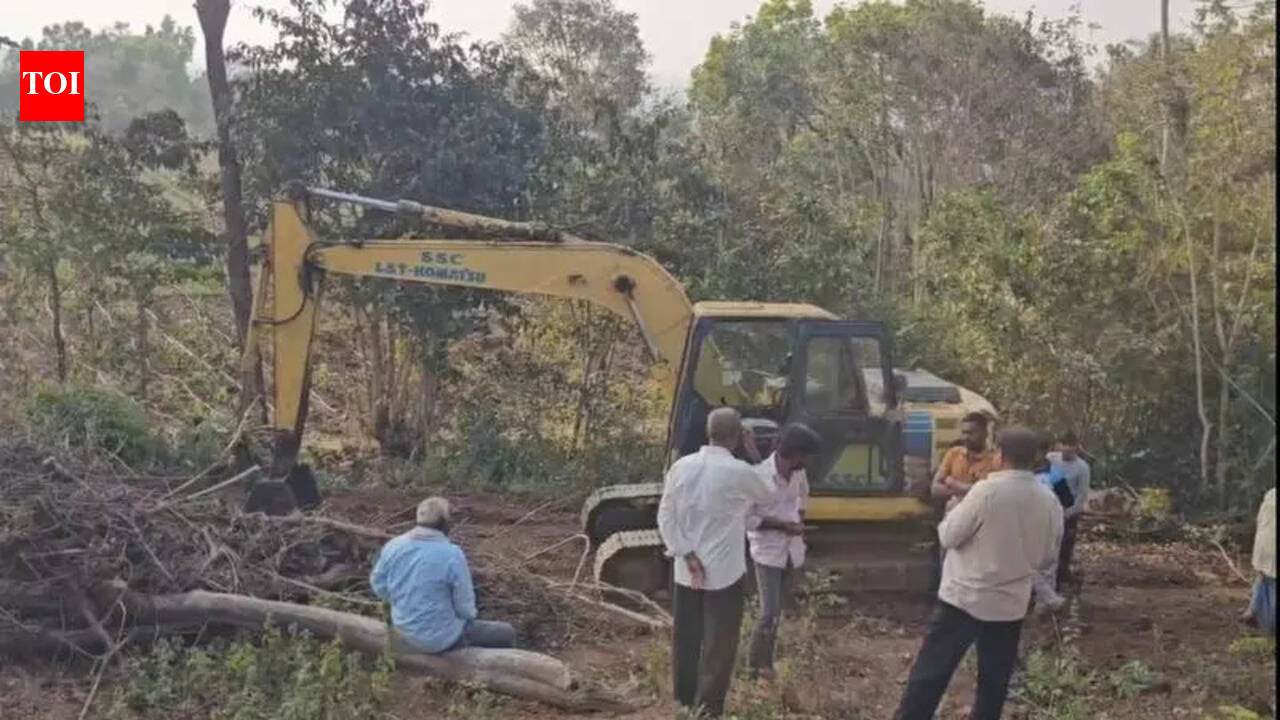 No disciplinary action on mass tree felling at Badal Ankalagi even ...