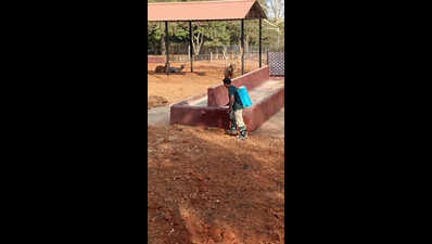 Binkadakatti Zoo shut to contain deadly bacterial disease