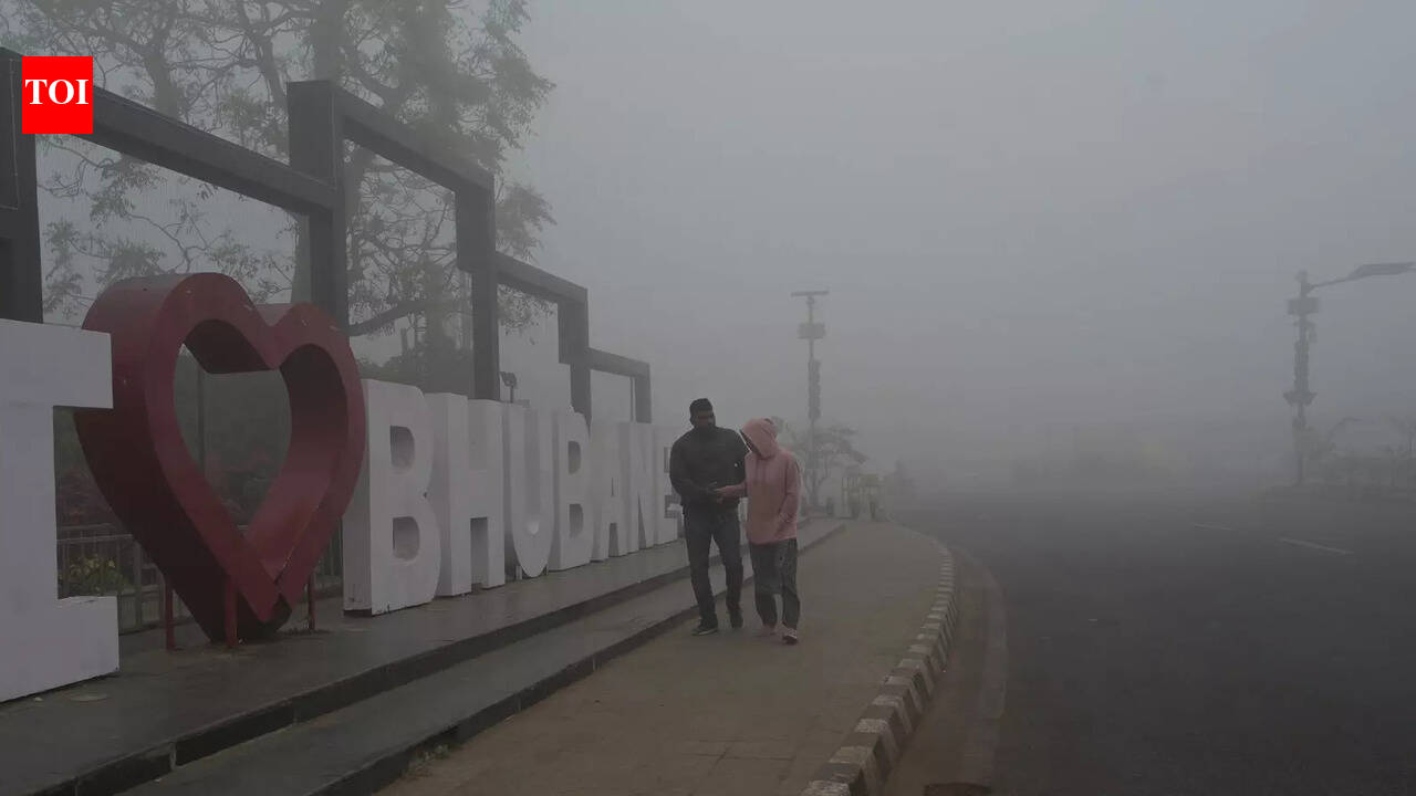 Fog brings city to standstill early morning