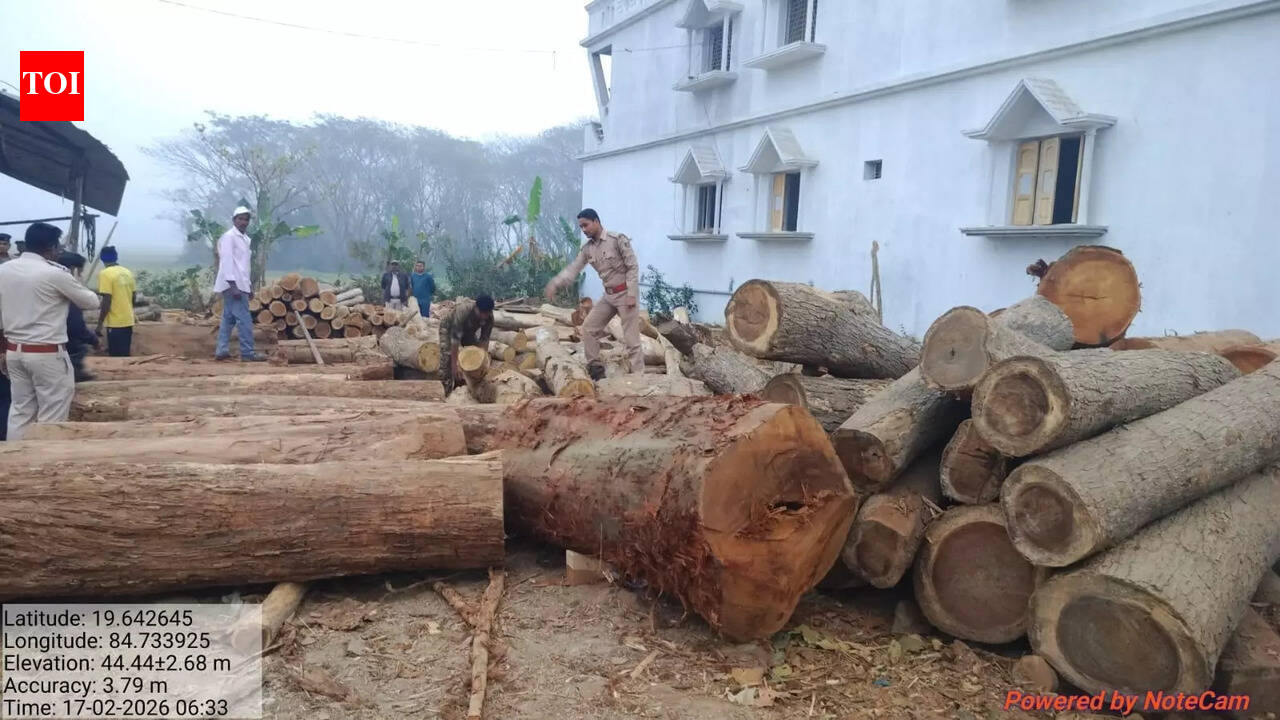 Timber worth Rs 30 lakh seized from 3 illegal saw mills