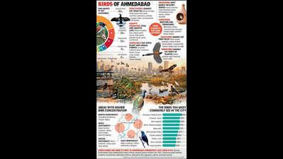 Urban sprawl in A’bad shrinks bird habitat, density higher in periphery