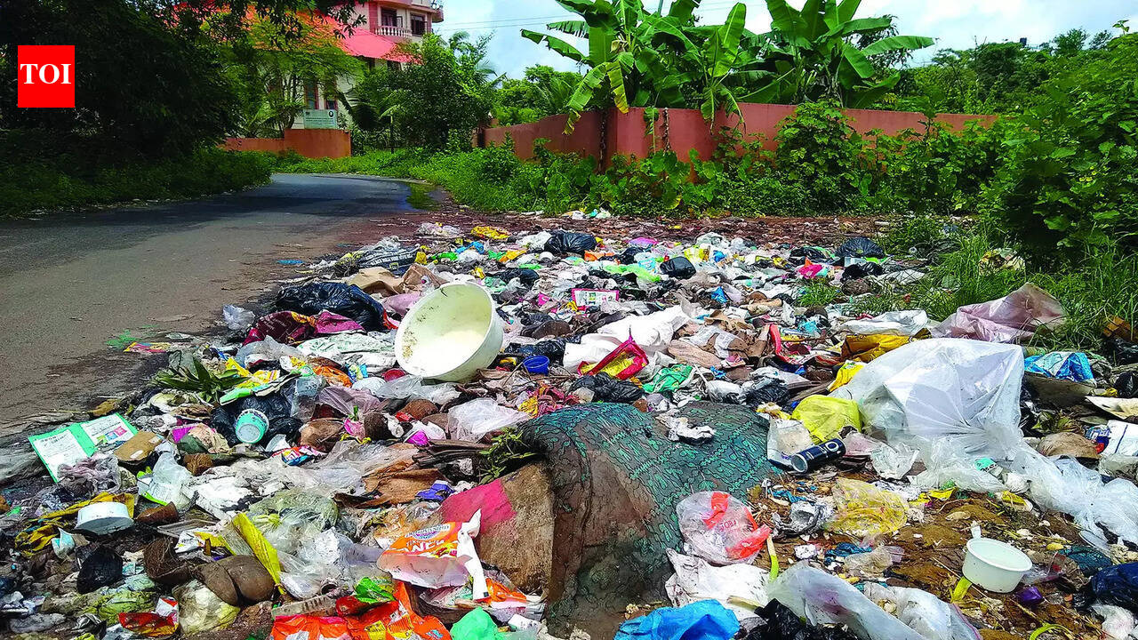Just 6 of 191 panchayats have approved garbage facilities