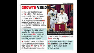 Govt aims to increase per capita income 17-fold to Rs 32L by 2047: Guv