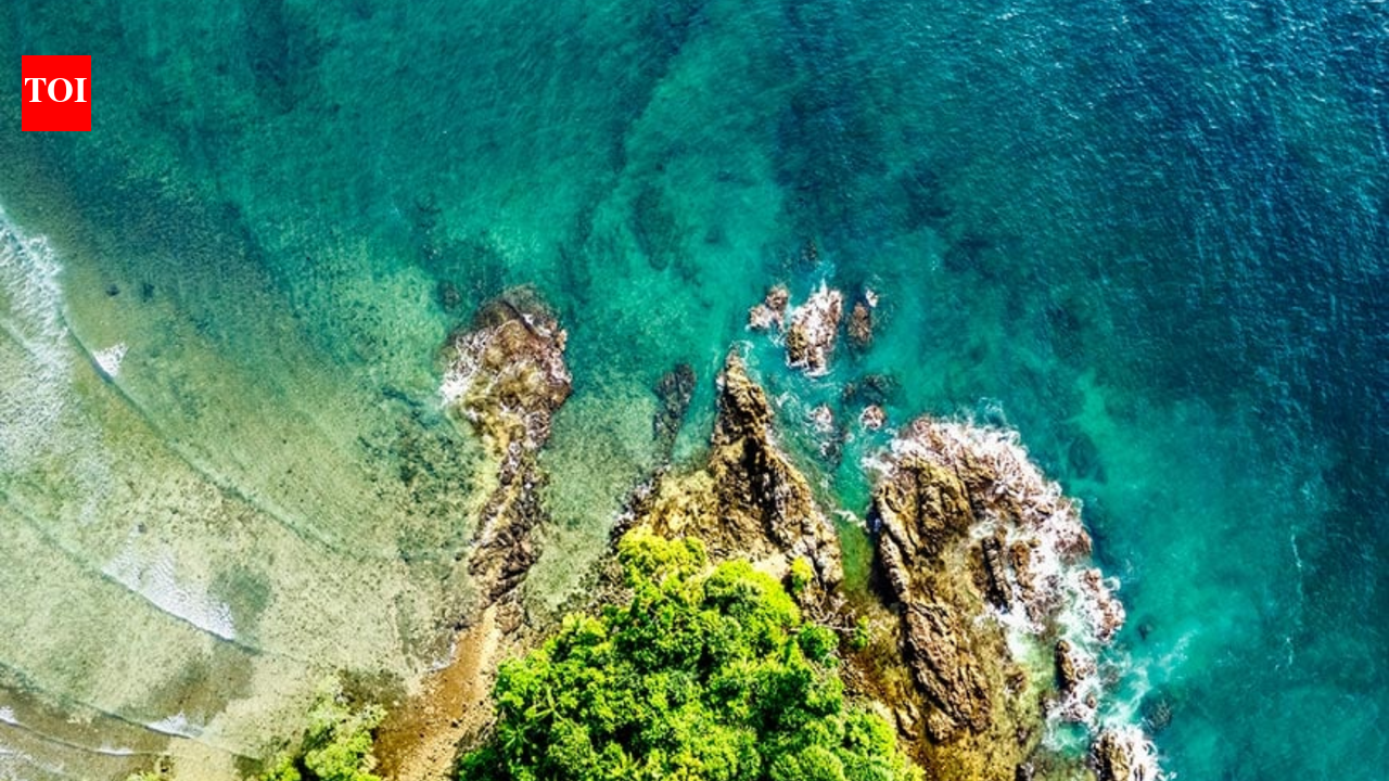 NGT nod thwarted Gandhis' bid to stall Nicobar plan: BJP